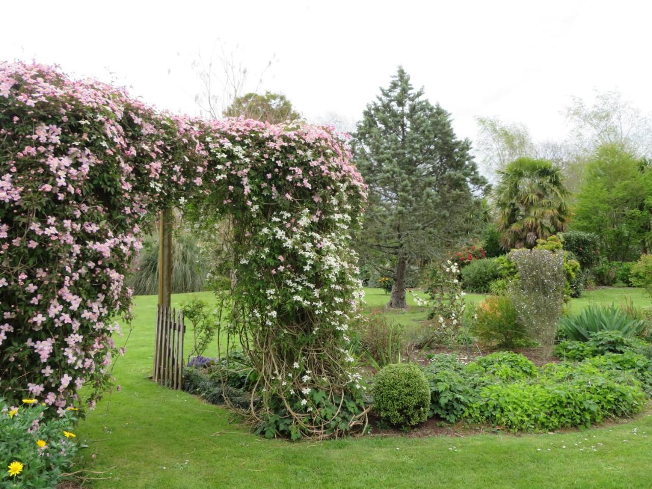 Walnut Lodge B&B Matamata Luaran gambar